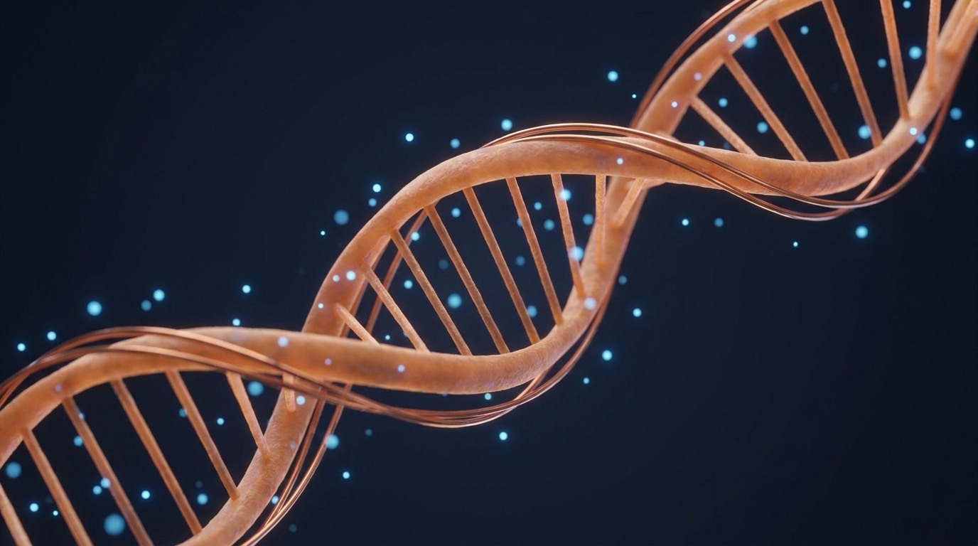 GHK-Cu DNA double helix